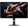 Monitory